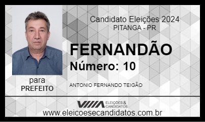 Candidato FERNANDÃO 2024 - PITANGA - Eleições