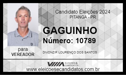 Candidato GAGUINHO 2024 - PITANGA - Eleições