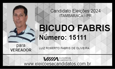 Candidato BICUDO FABRIS 2024 - ITAMBARACÁ - Eleições