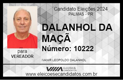 Candidato DALANHOL DA MAÇÃ 2024 - PALMAS - Eleições