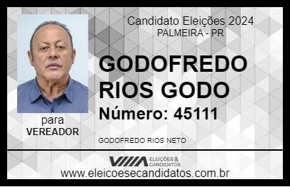 Candidato GODOFREDO RIOS GODO 2024 - PALMEIRA - Eleições