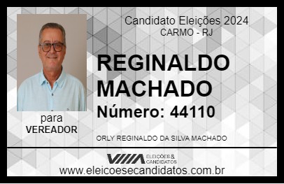 Candidato REGINALDO MACHADO 2024 - CARMO - Eleições