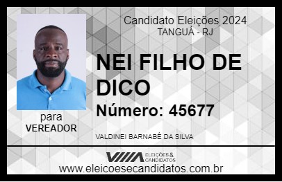 Candidato NEI FILHO DE DICO 2024 - TANGUÁ - Eleições