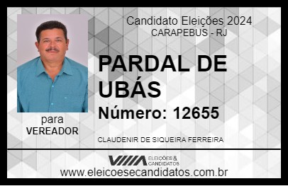 Candidato PARDAL DE UBÁS 2024 - CARAPEBUS - Eleições