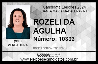 Candidato ROZELI DA AGULHA 2024 - SANTA MARIA MADALENA - Eleições