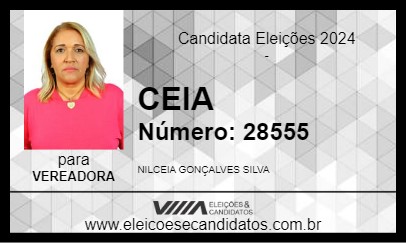 Candidato CEIA 2024 - ENGENHEIRO PAULO DE FRONTIN - Eleições