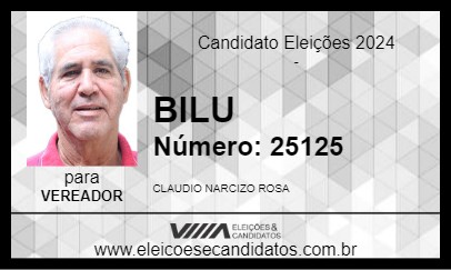 Candidato BILU 2024 - BARRA DO PIRAÍ - Eleições