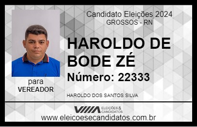 Candidato HAROLDO DE BODE ZÉ 2024 - GROSSOS - Eleições