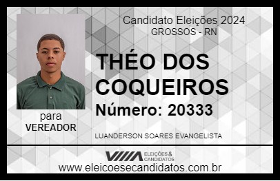 Candidato THÉO DOS COQUEIROS 2024 - GROSSOS - Eleições