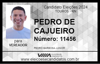 Candidato PEDRO DE CAJUEIRO 2024 - TOUROS - Eleições