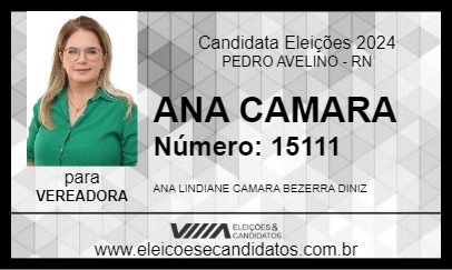 Candidato ANA CAMARA 2024 - PEDRO AVELINO - Eleições