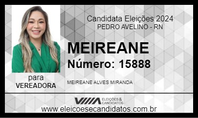 Candidato MEIREANE 2024 - PEDRO AVELINO - Eleições