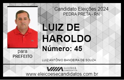 Candidato LUIZ DE HAROLDO 2024 - PEDRA PRETA - Eleições