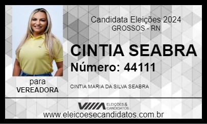 Candidato CINTIA SEABRA 2024 - GROSSOS - Eleições