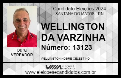 Candidato WELLINGTON DA VARZINHA 2024 - SANTANA DO MATOS - Eleições