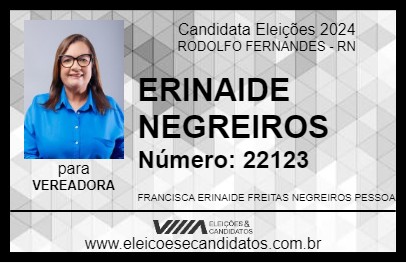 Candidato ERINAIDE NEGREIROS 2024 - RODOLFO FERNANDES - Eleições