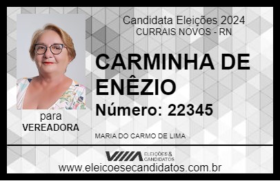 Candidato CARMINHA DE ENÊZIO 2024 - CURRAIS NOVOS - Eleições