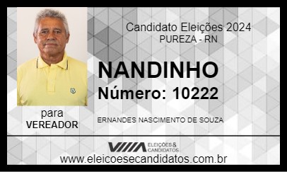 Candidato NANDINHO 2024 - PUREZA - Eleições