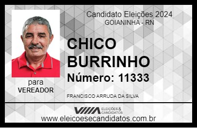 Candidato CHICO BURRINHO 2024 - GOIANINHA - Eleições