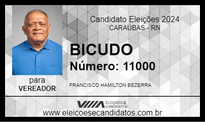 Candidato BICUDO 2024 - CARAÚBAS - Eleições