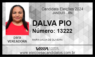 Candidato DALVA PIO 2024 - JANDUÍS - Eleições