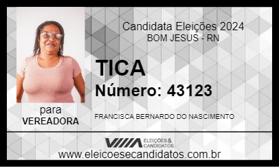 Candidato TICA 2024 - BOM JESUS - Eleições