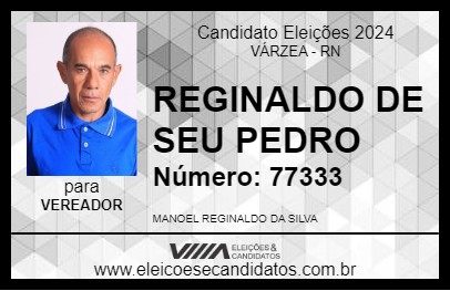 Candidato REGINALDO DE SEU PEDRO 2024 - VÁRZEA - Eleições