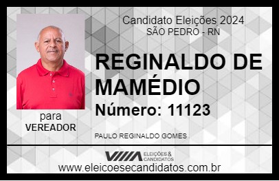 Candidato REGINALDO DE MAMÉDIO 2024 - SÃO PEDRO - Eleições