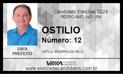 Candidato OSTILIO 2024 - PEDRO AVELINO - Eleições