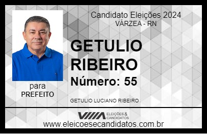 Candidato GETULIO RIBEIRO 2024 - VÁRZEA - Eleições