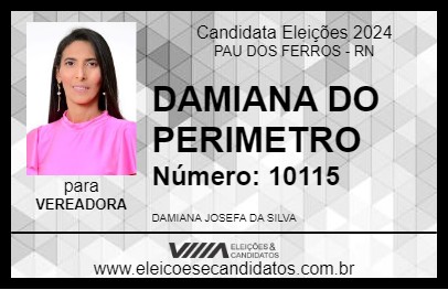 Candidato DAMIANA DO PERIMETRO 2024 - PAU DOS FERROS - Eleições