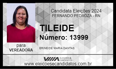 Candidato TILEIDE 2024 - FERNANDO PEDROZA - Eleições