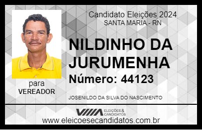 Candidato NILDINHO DA JURUMENHA 2024 - SANTA MARIA - Eleições