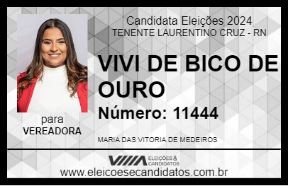 Candidato VIVI DE BICO DE OURO 2024 - TENENTE LAURENTINO CRUZ - Eleições