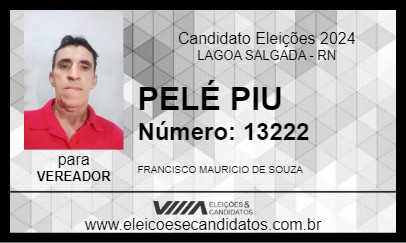 Candidato PELÉ PIU 2024 - LAGOA SALGADA - Eleições