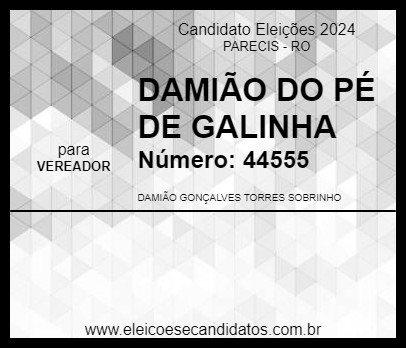 Candidato DAMIÃO DO PÉ DE GALINHA 2024 - PARECIS - Eleições