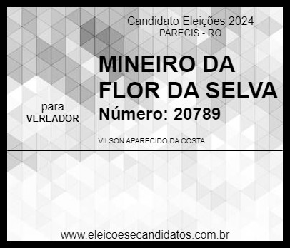 Candidato MINEIRO DA FLOR DA SELVA 2024 - PARECIS - Eleições