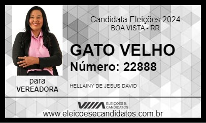 Candidato GATO VELHO 2024 - BOA VISTA - Eleições