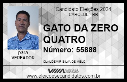 Candidato GATO DA ZERO QUATRO 2024 - CAROEBE - Eleições