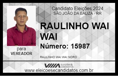 Candidato RAULINHO WAI WAI 2024 - SÃO JOÃO DA BALIZA - Eleições