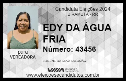 Candidato EDY DA ÁGUA FRIA 2024 - UIRAMUTÃ - Eleições