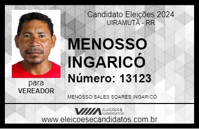 Candidato MENOSSO INGARICÓ 2024 - UIRAMUTÃ - Eleições