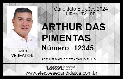 Candidato ARTHUR DAS PIMENTAS 2024 - UIRAMUTÃ - Eleições