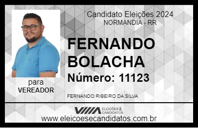 Candidato FERNANDO BOLACHA 2024 - NORMANDIA - Eleições