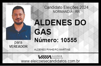 Candidato ALDENES DO GAS 2024 - NORMANDIA - Eleições