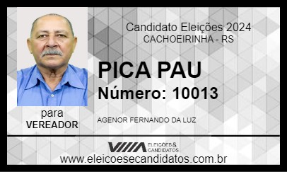 Candidato PICA PAU 2024 - CACHOEIRINHA - Eleições