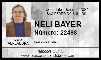 Candidato NELI BAYER 2024 - SÃO PEDRO DO SUL - Eleições