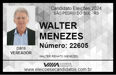 Candidato WALTER MENEZES 2024 - SÃO PEDRO DO SUL - Eleições