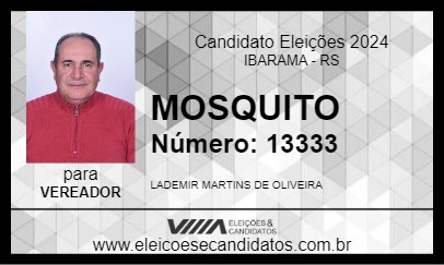 Candidato MOSQUITO 2024 - IBARAMA - Eleições