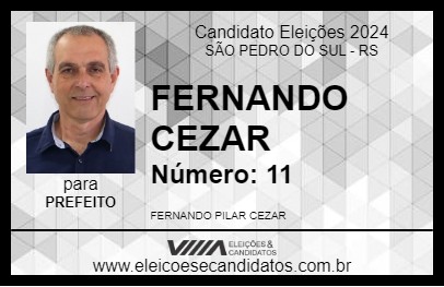 Candidato FERNANDO CEZAR 2024 - SÃO PEDRO DO SUL - Eleições